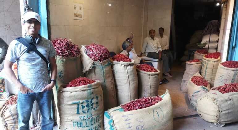 Delhi-Tempel-Tagestour mit Einheimischen Bereitgestellt von Vivek Handa