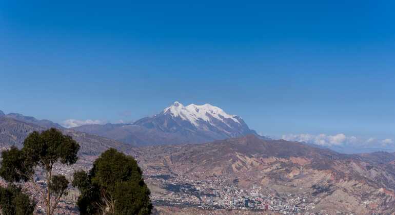 Free Tour: Teleférico y Lectura de Hoja de Coca Bolivia &mdash; #8
