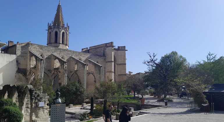 Flamboyant & Secret Avignon Free Tour France &mdash; #4