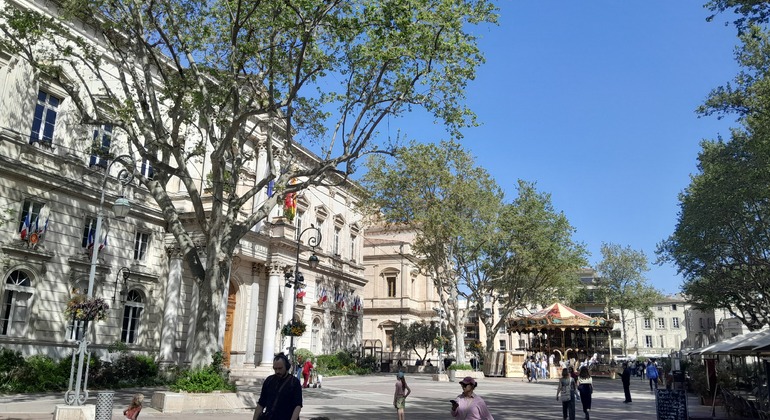 Flamboyant & Secret Avignon Free Tour France &mdash; #5