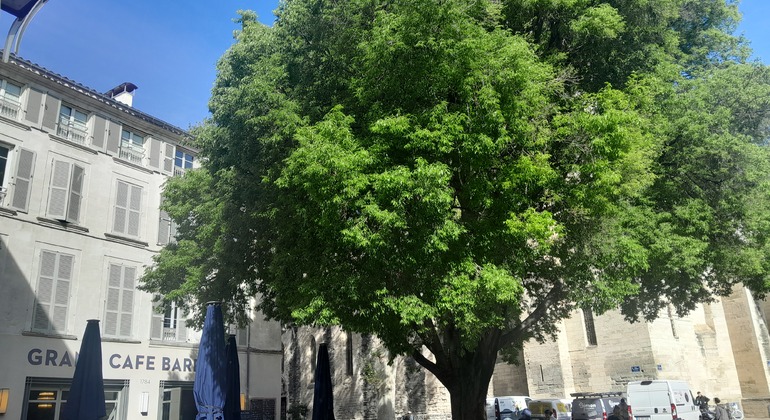 Flamboyant & Secret Avignon Free Tour France &mdash; #8