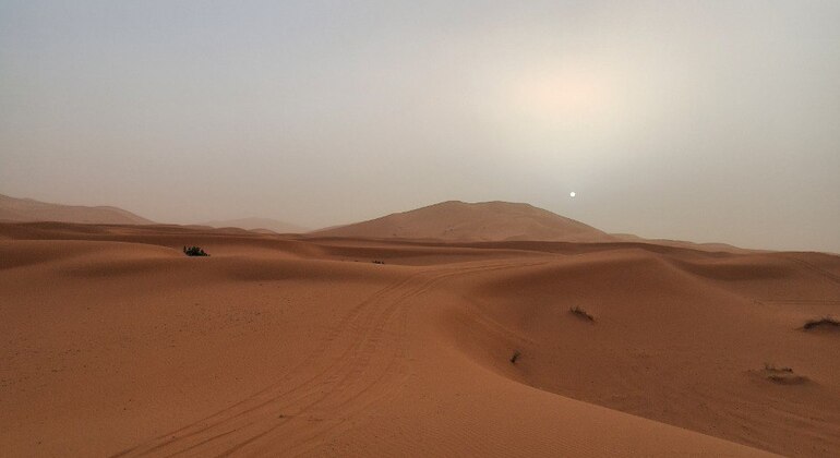 Excursion d'une journée de Fès au désert du Sahara Fournie par sahara dessert adventure