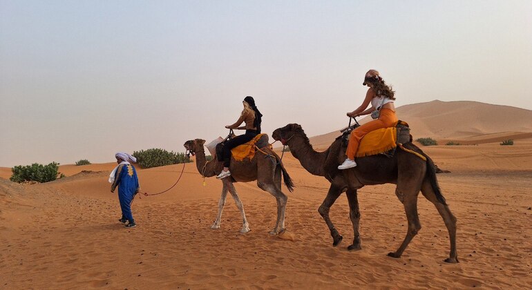 Excursion d'une journée de Fès au désert du Sahara Maroc &mdash; #2