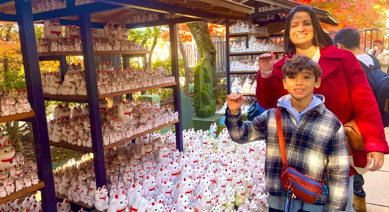 Templo del Gato de la Suerte Gotokuji de Tokio y calle comercial de gatos locales