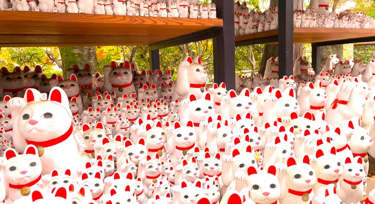 Free Tour: Tokyo Gotokuji Lucky Cat Temple & Local Cat Shopping St. Japan &mdash; #3