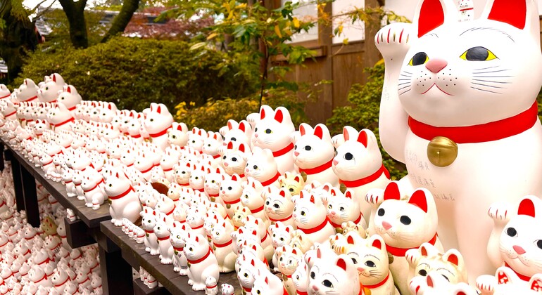 Free Tour: Tokyo Gotokuji Lucky Cat Temple & Local Cat Shopping St. Japan &mdash; #7