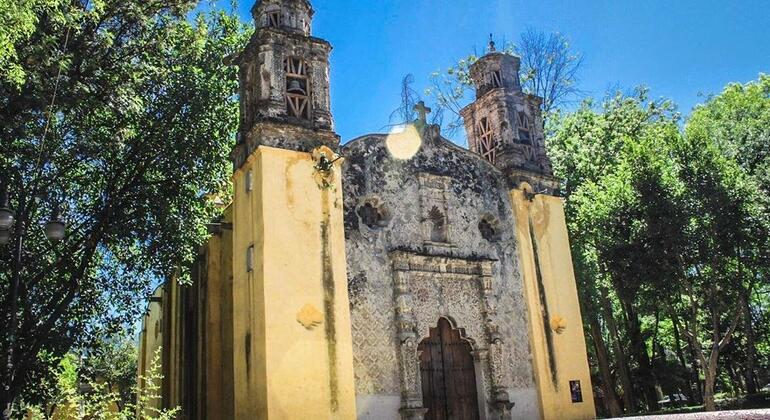 Coyoacan Neighborhood & Frida Kahlo Free Tour - Mexico City | FREETOUR.com