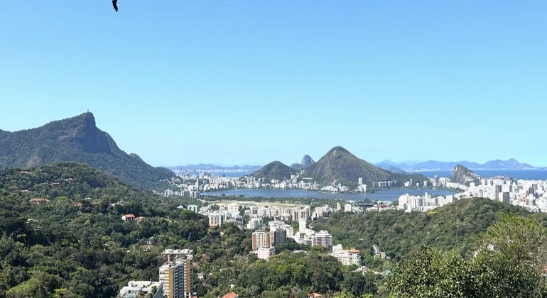 Experiencia Cultural en la Mayor Favela de Brasil Brasil — #5