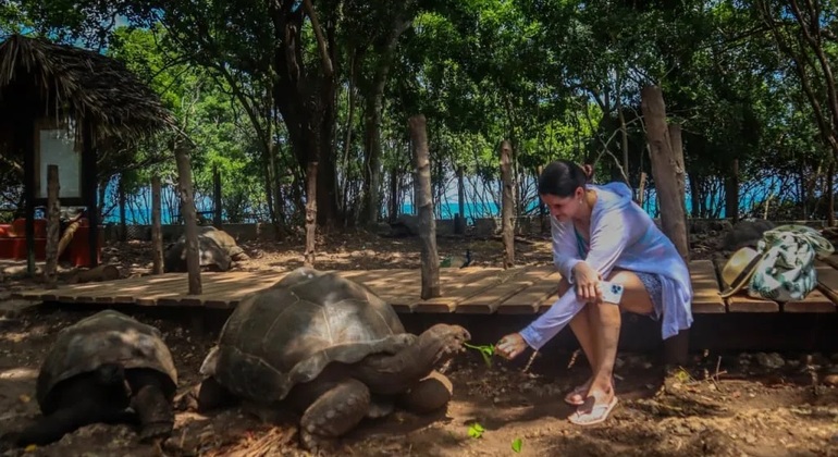 Explorar a Ilha Prisão e relaxar no banco de areia de Nakupenda Tanzânia — #4