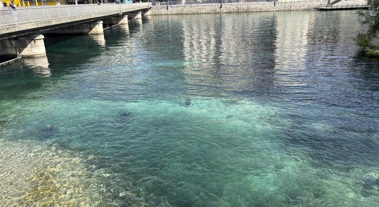 geneva-unveiled-charm-culture-history-es-4