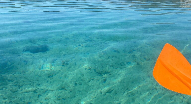 canoeing-wine-tasting-in-a-historic-cellar-es-2