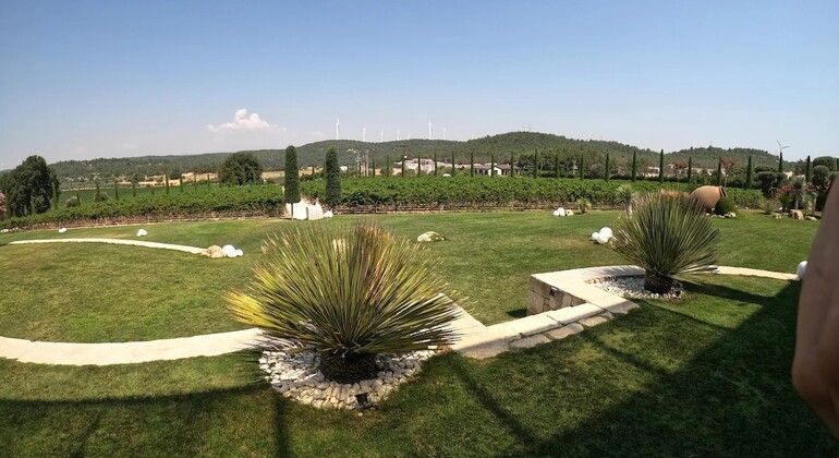 canoeing-wine-tasting-in-a-historic-cellar-es-7