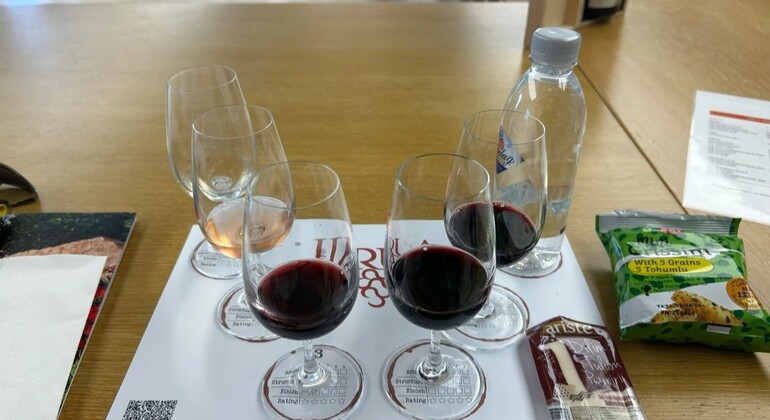 canoeing-wine-tasting-in-a-historic-cellar-es-8