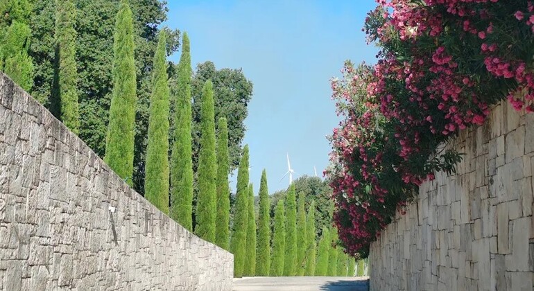 canoeing-wine-tasting-in-a-historic-cellar-es-9