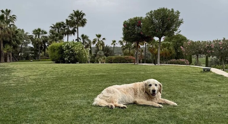 canoeing-wine-tasting-in-a-historic-cellar-es-10