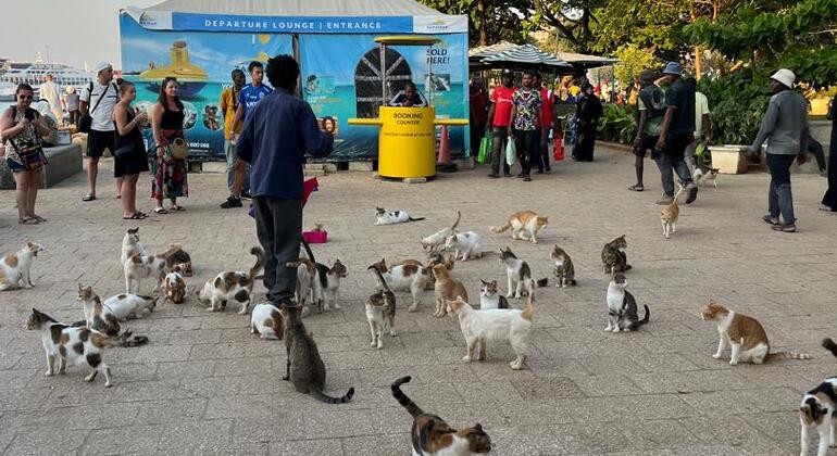 Step Back in Time: The Magic of Stone Town's Streets Free Tour Tanzania &mdash; #14