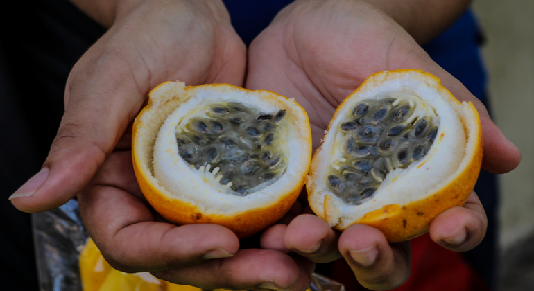 Cartagena Street Food Tour Kolumbien — #6