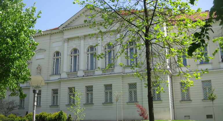 Esplora Sirmium: Residenza degli imperatori romani Serbia — #15