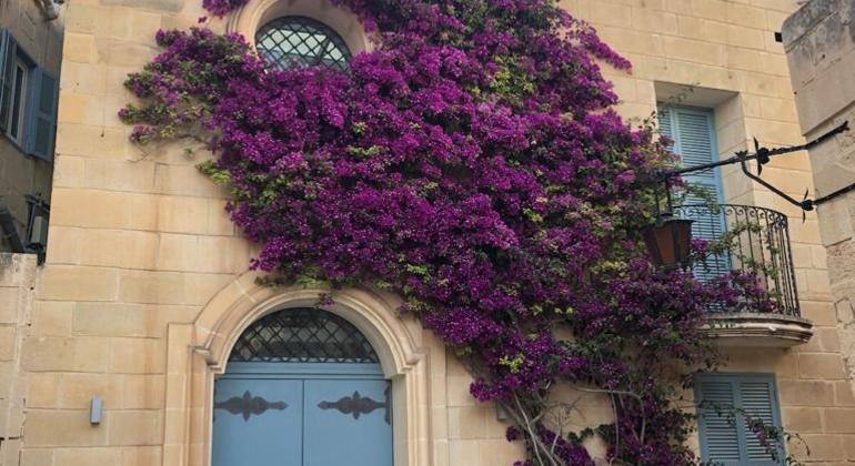 Mdina and Rabat Walking Tour Provided by Colour my Travel