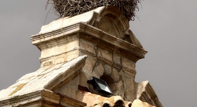 Private Tagestour von Madrid nach Toledo und zu den ikonischen Windmühlen Spanien &mdash; #11