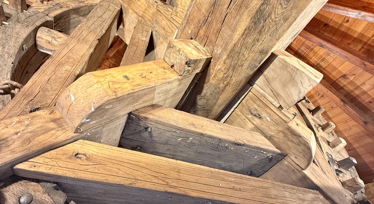 Private Tagestour von Madrid nach Toledo und zu den ikonischen Windmühlen Spanien &mdash; #12