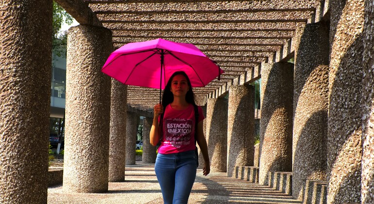 Free Tour through San Ángel & the Heart of UNAM Mexico &mdash; #3