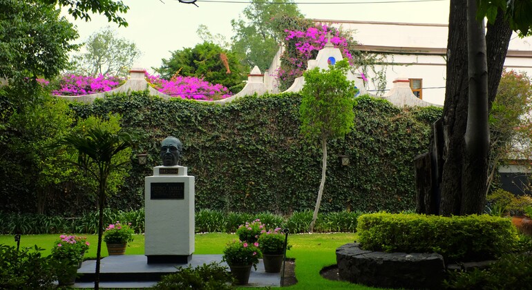 Free Tour through San Ángel & the Heart of UNAM Mexico &mdash; #7