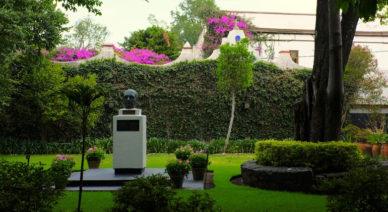 Free Tour por San Ángel y el Corazón de la UNAM México — #3