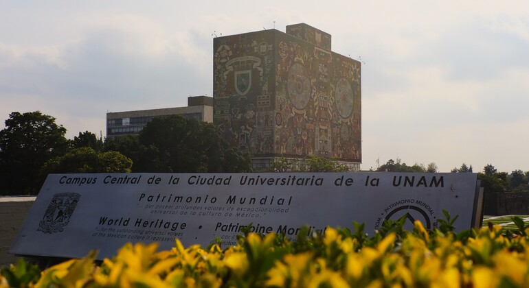 Free Tour por San Ángel y el Corazón de la UNAM México — #5