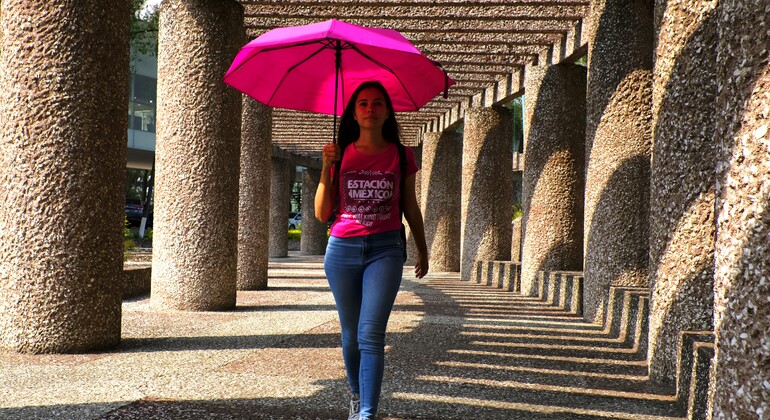 Free Tour por San Ángel y el Corazón de la UNAM México — #6