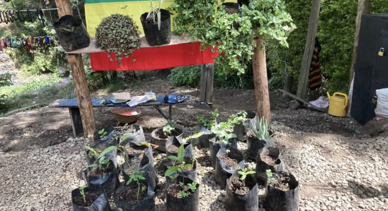 Experimente la Revolución Ecológica en la Ciudad Tanzania — #4