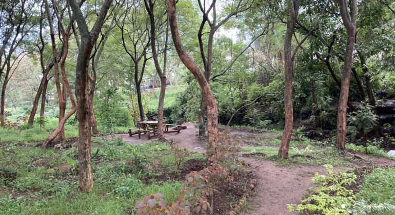 Experimente la Revolución Ecológica en la Ciudad Tanzania — #7