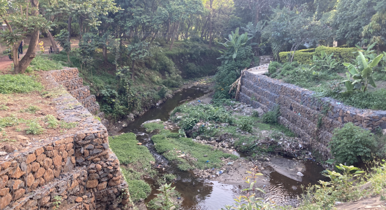 Experimente la Revolución Ecológica en la Ciudad Tanzania — #5