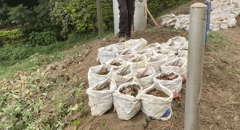 Experimente la Revolución Ecológica en la Ciudad Tanzania — #2