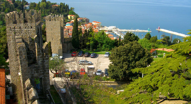 Free Evening Walking Tour of Historic Piran