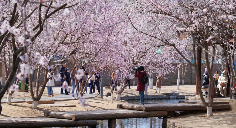 Passeios a pé gratuitos em Pequim | O que é preciso ver e o que está escondido República Popular da China &mdash; #3