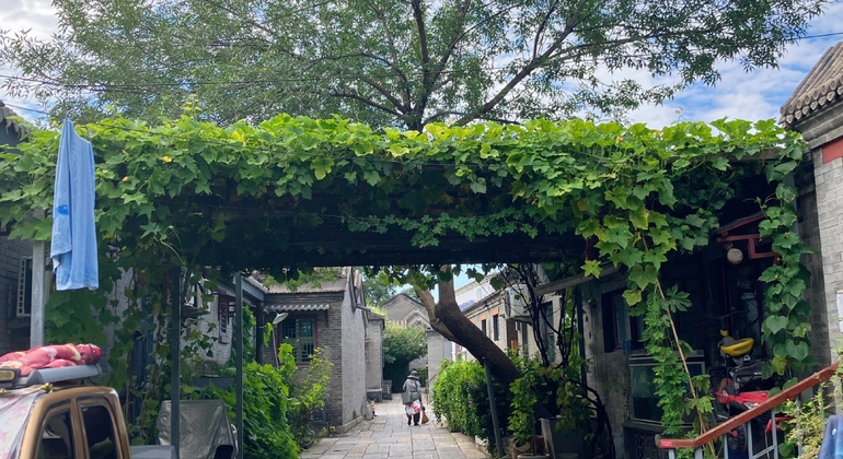 Passeios a pé gratuitos em Pequim | O que é preciso ver e o que está escondido República Popular da China &mdash; #14