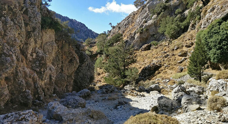 Aventura por el Desfiladero de Imbros desde Chania Operado por Renia