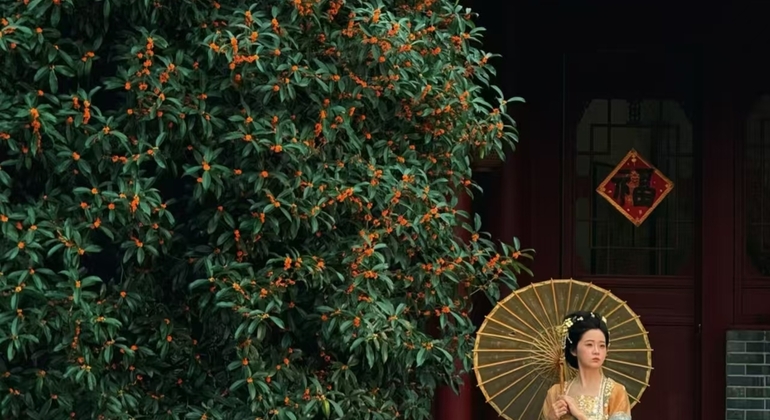 chengdu-soul-bites-market-feasting-taoist-mysteries-en-3