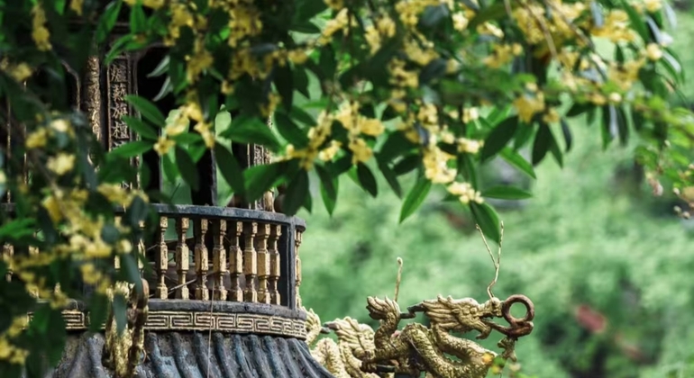 chengdu-soul-bites-market-feasting-taoist-mysteries-en-4