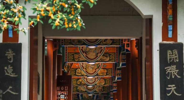 chengdu-soul-bites-market-feasting-taoist-mysteries-en-5