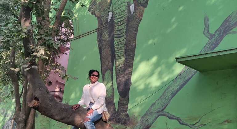Tour gratuito dell'arte di strada e passeggiata nel patrimonio di Nuova Delhi India &mdash; #2