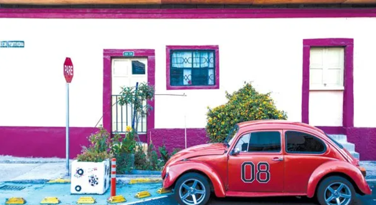 Entre Murales y Sabores: Quito moderno a pie Operado por Kunakkuna Experiences