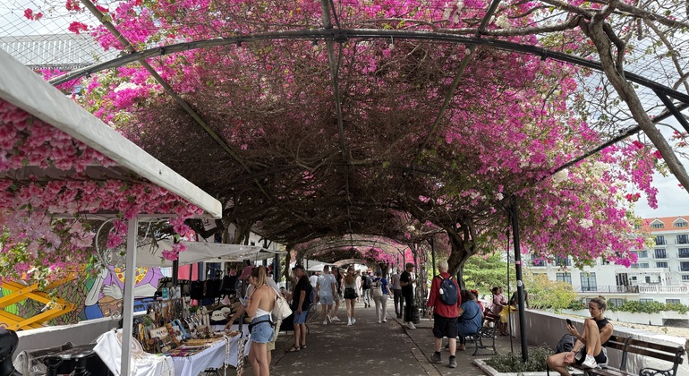 Visita gratuita à Cidade Velha do Panamá: Visita Colonial Panamá &mdash; #2