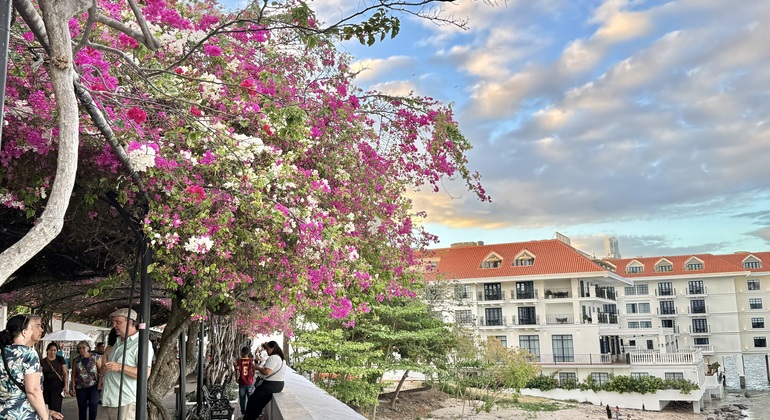 Visita gratuita à Cidade Velha do Panamá: Visita Colonial Panamá &mdash; #24