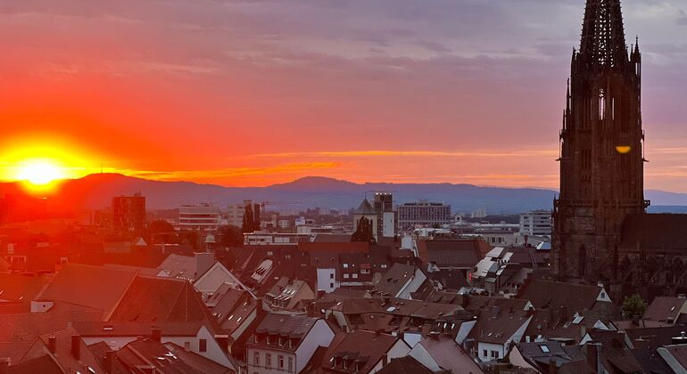 Guided Tour of Freiburg: History, Alleys & Secrets Provided by Katharina Schindler
