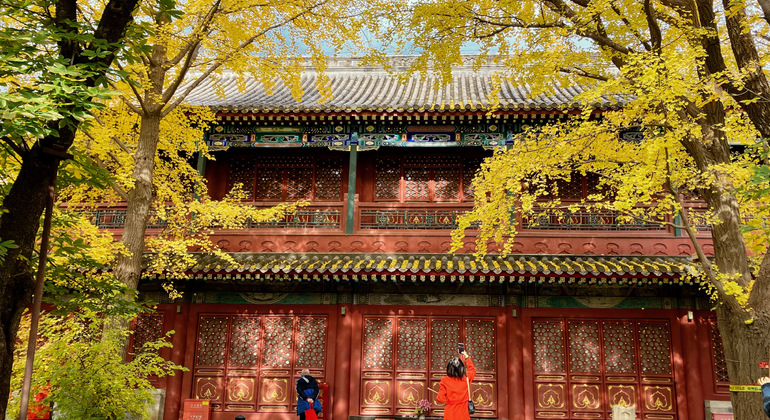 Visita gratuita ao coração revolucionário de Pequim República Popular da China &mdash; #11