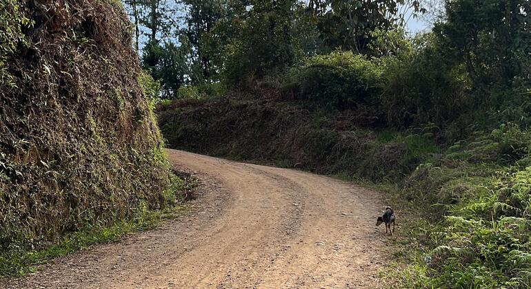 conexion-natural-yoga-senderismo-cascada-es-7