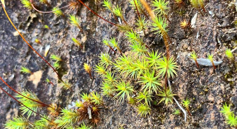 conexion-natural-yoga-senderismo-cascada-es-8