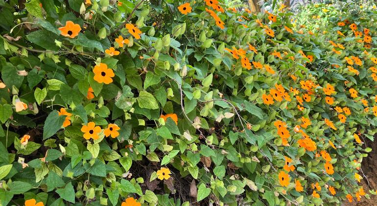 conexion-natural-yoga-senderismo-cascada-es-9